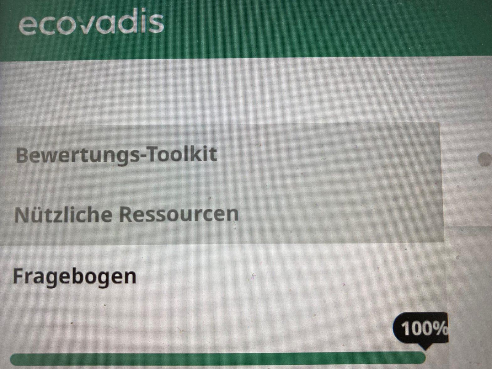 Score EcoVadis Fragebogen